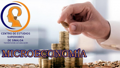 MICROECONOMIA