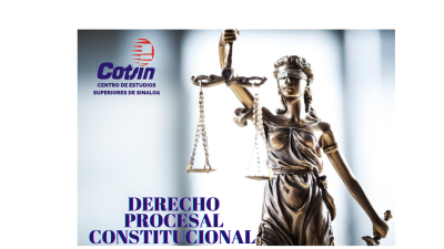 DERECHO PROCESAL CONSTITUCIONAL
